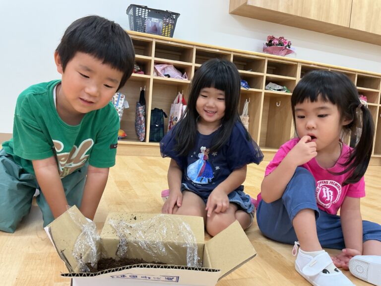 全園児「仲間が増えたよ!」